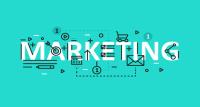 Digital Marketing NI | The Online Business Agency image 1